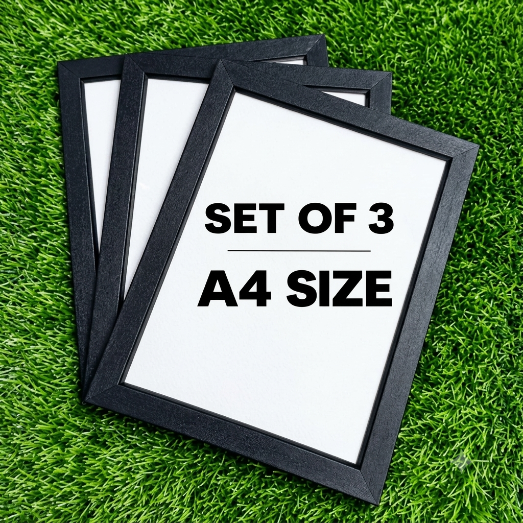 Photo frame Set Of 3 | Photo Frame set of 3